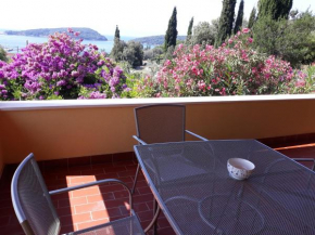 Apartment Luna, Molunat